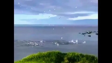 Gannets diving for fish in Newfoundland, Canada. #shorts #shortsfeed #clips #shortvideo