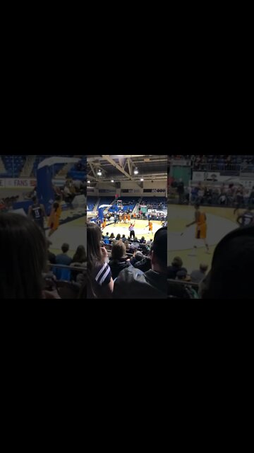 At a Charlottetown Storm Basketball game #shorts