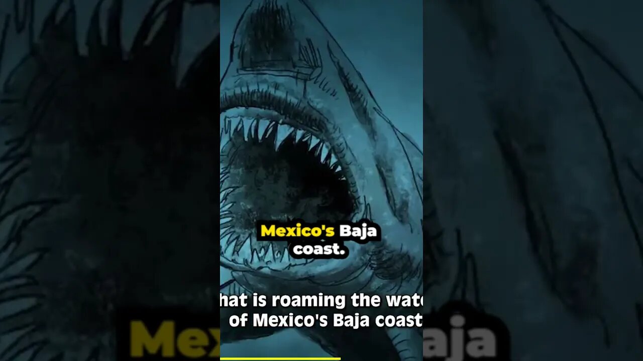 Mysterious Megalodon Sightings