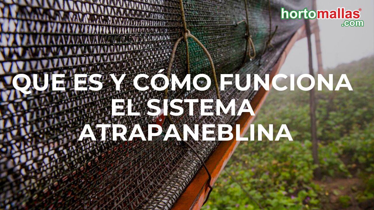 Que es y cómo funciona el sistema Atrapaneblina