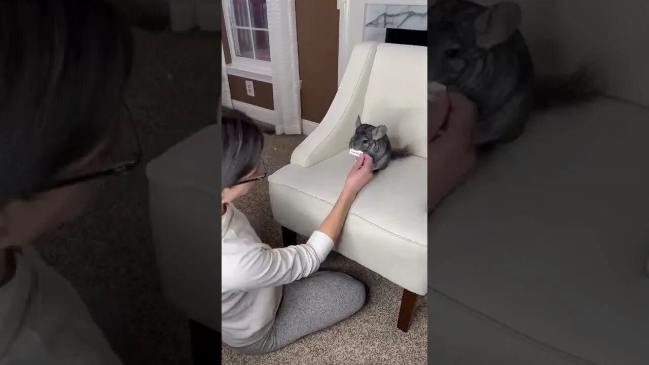 ☺️