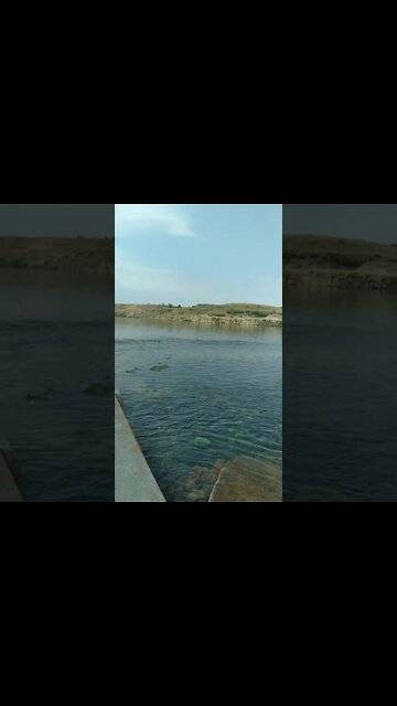 Great Falls, MT 7.9.2021☆☆☆