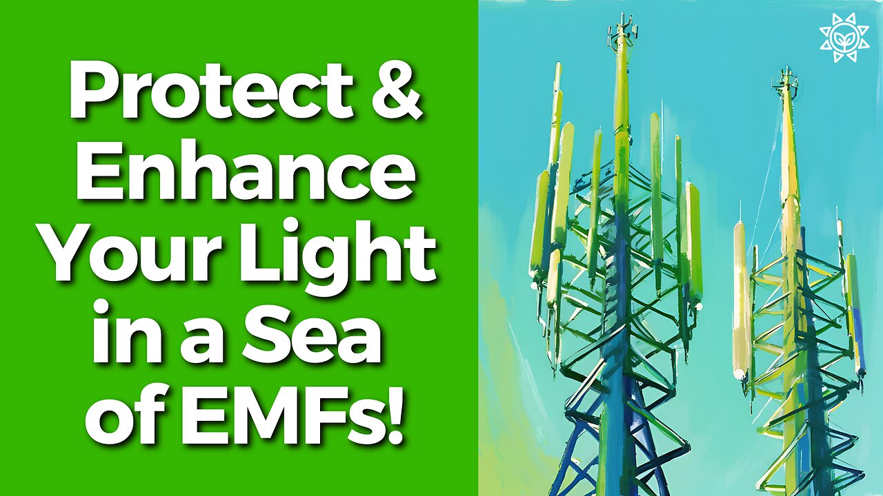 Traveling with EMF Protection: Protect Your Light in a Sea of EMFs