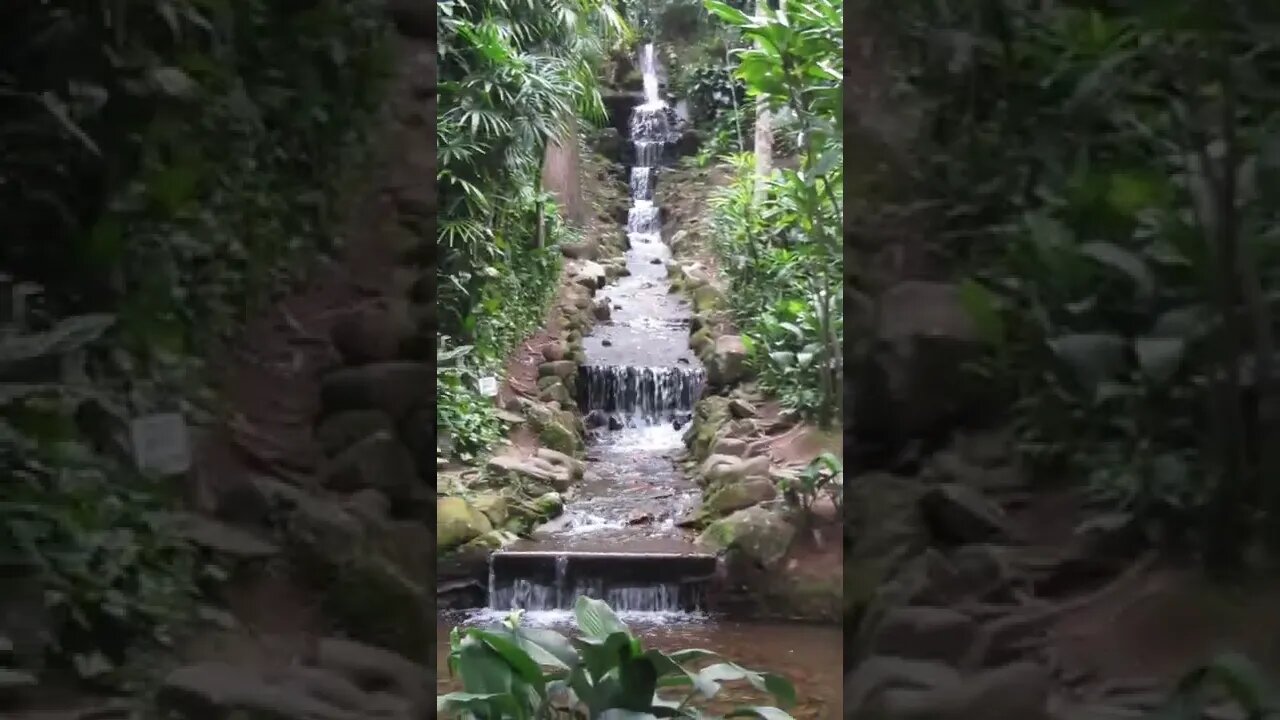 Jardim Botânico, Rio de Janeiro