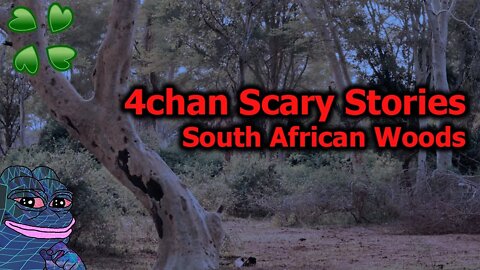 4Chan Scary Stories :: The South African Woods