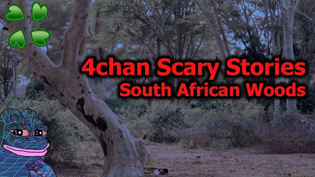 4Chan Scary Stories :: The South African Woods