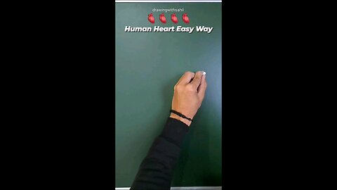 human heart