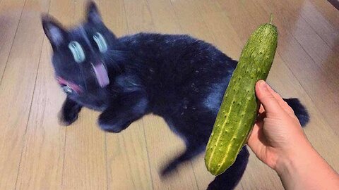 1 Hour of Funniest Animals 2024 😍 New Funny Cats and Dogs Videos 😹🐶 #59