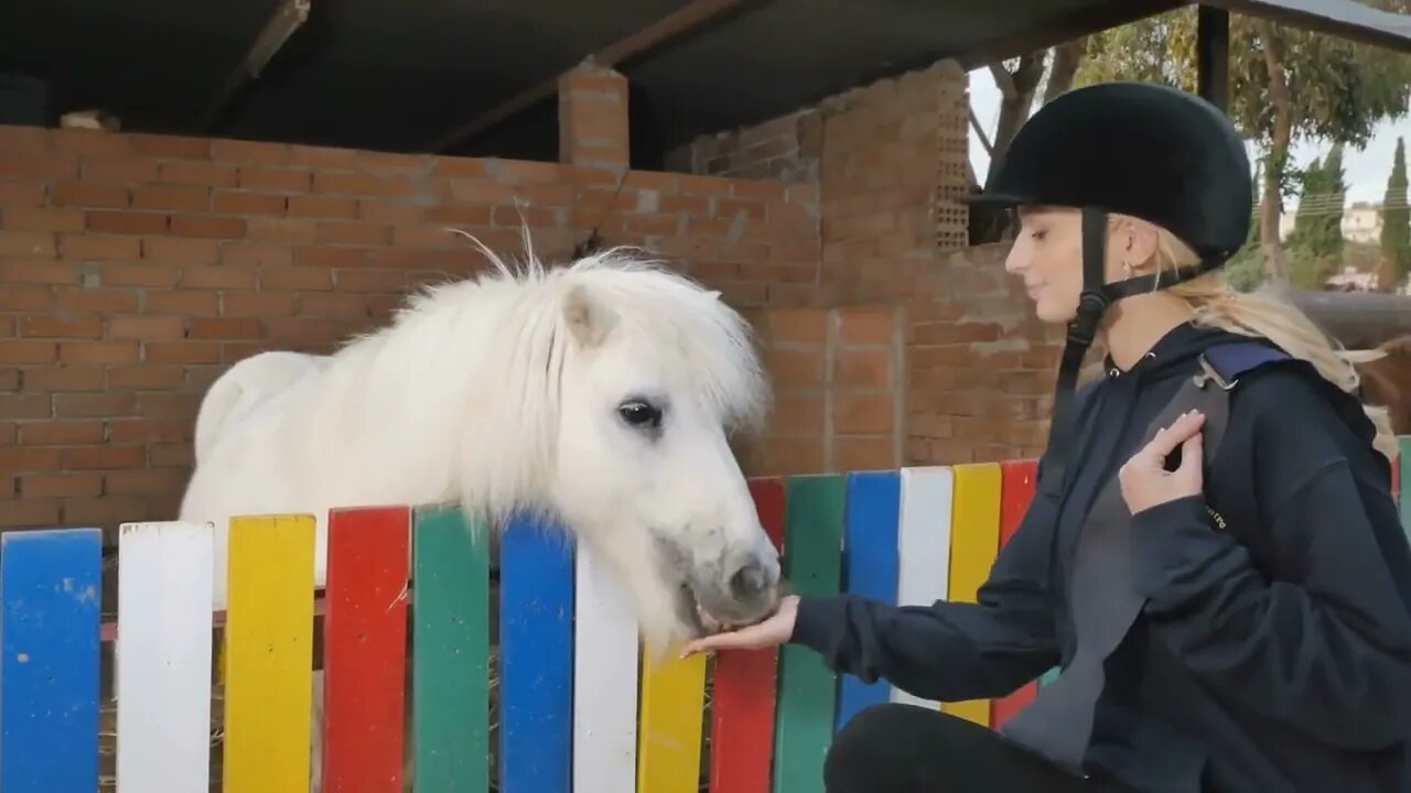 Foman feeds a pony outdise the fence