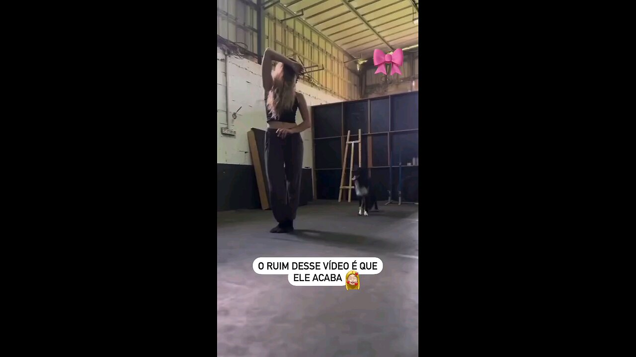 another super smart dancing dog