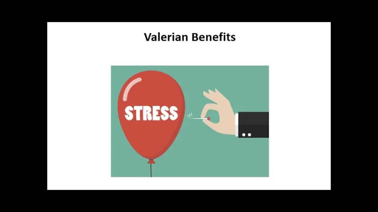 Valerian Benefits - Sleep & Mood