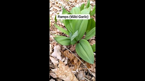 Ramps