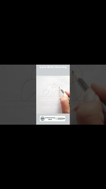 Love Birds Easy Pencil Drawing Full Tutorial Shorts #shortdrawingvideo #lovebirdsdrawing #shorts