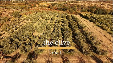 The olive road