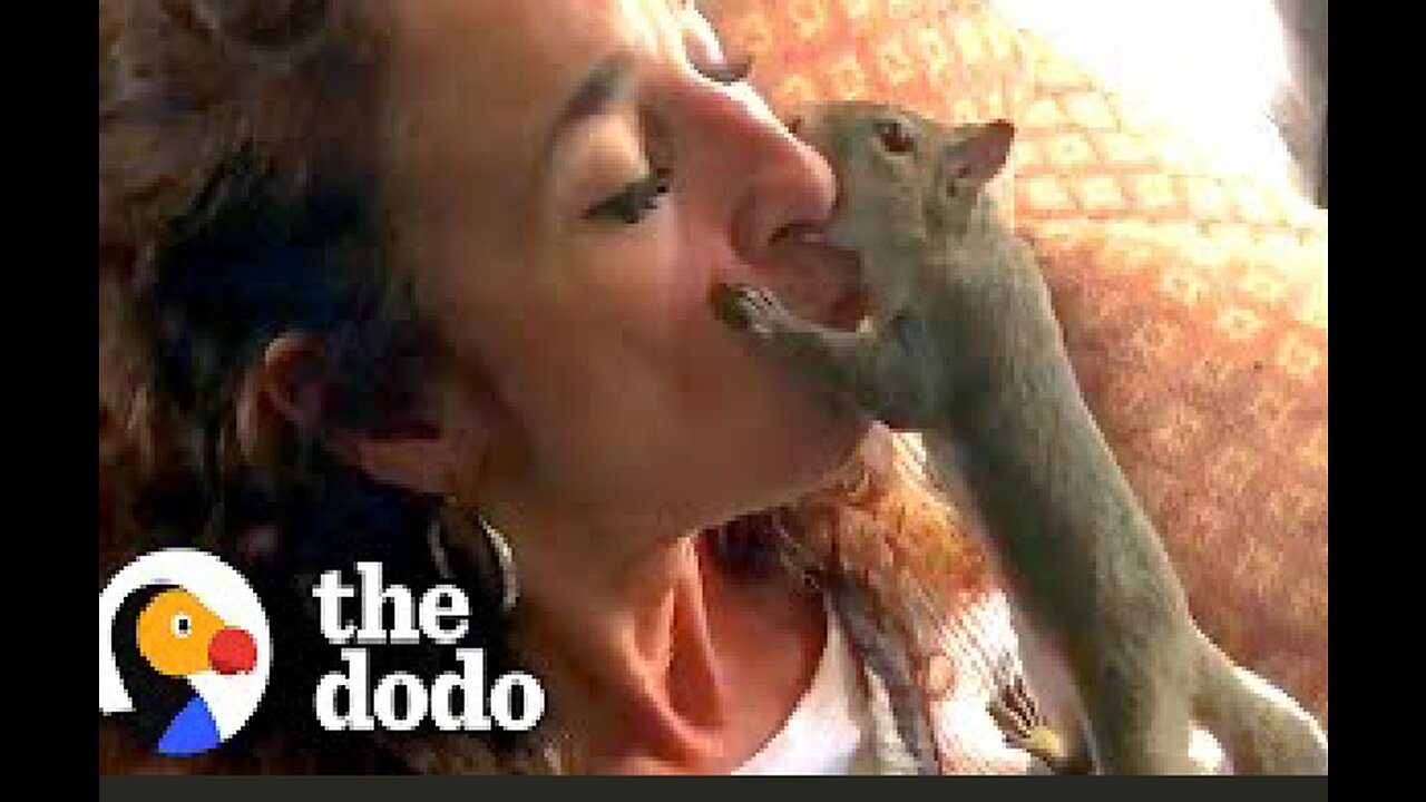 Squirrel Visits His Rescuer Every Day For Years | The Dodo