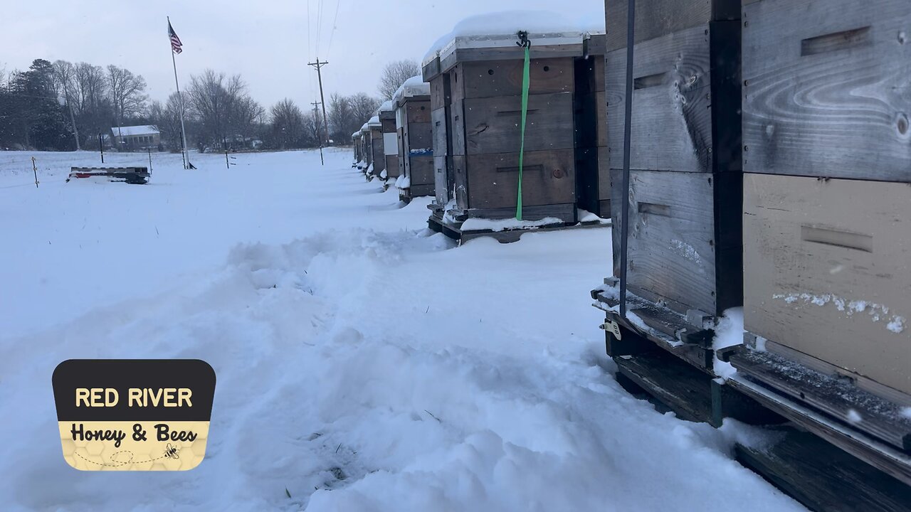 Quick clearing off honey bee hives in the snow!