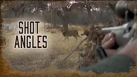 Safari Education - Great Cats Episode 11: Shot Angles for Great Cats