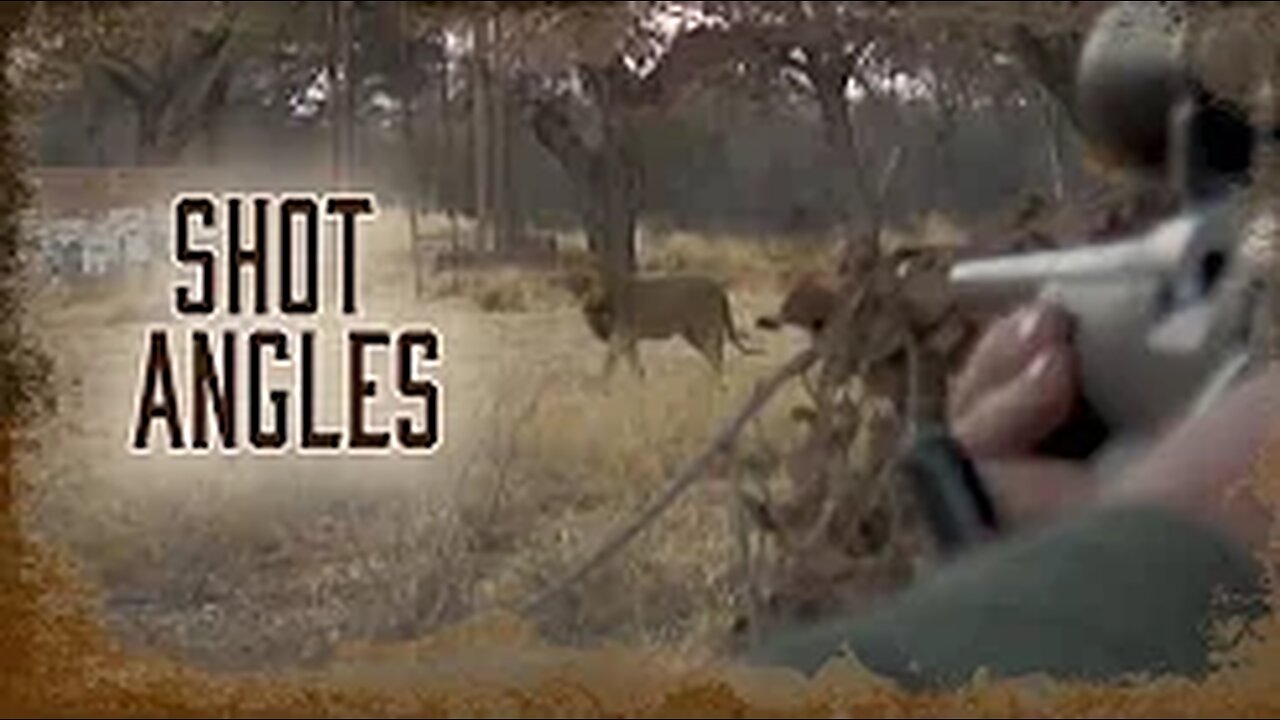 Safari Education - Great Cats Episode 11: Shot Angles for Great Cats