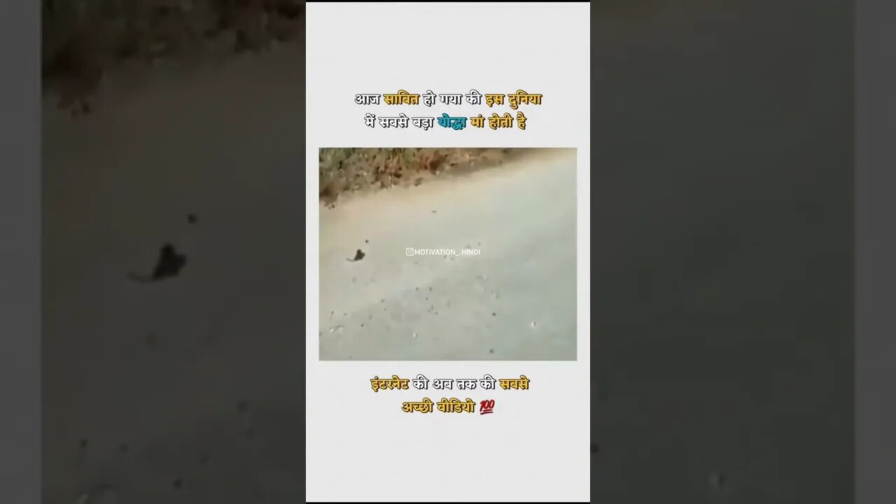 चुहा vs snake