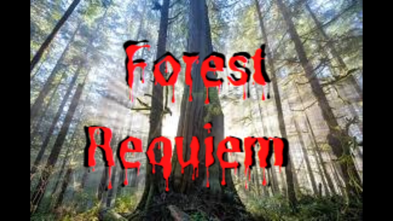 Requiem to a disappearing forest.🎹