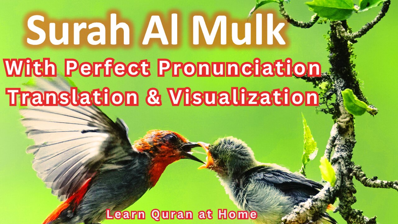 Surah Al Mulk Slow Recitation | Surah Mulk Word by Word Correct Pronunciation | Learn Quran at Home