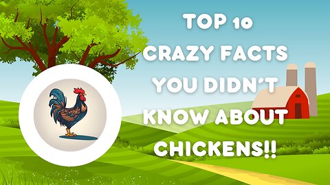 !0 CRAZY things you didn't know about CHICKENS