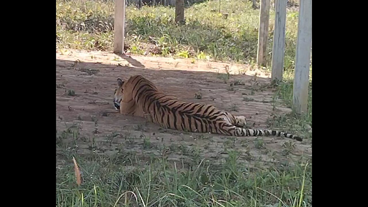 Bangladesh safari Park