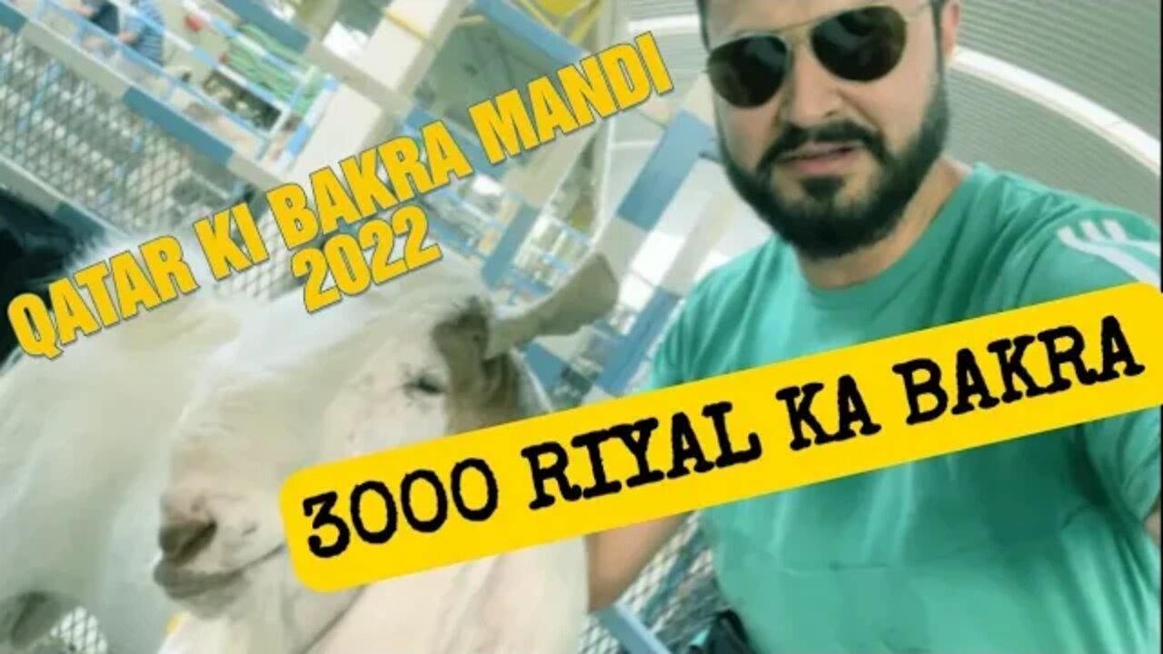 Qatar Ki mandi 🐂🐄 | 3000 QR ka bakra | Cow mandi 2022 | Qatar | bakra Eid vlogs