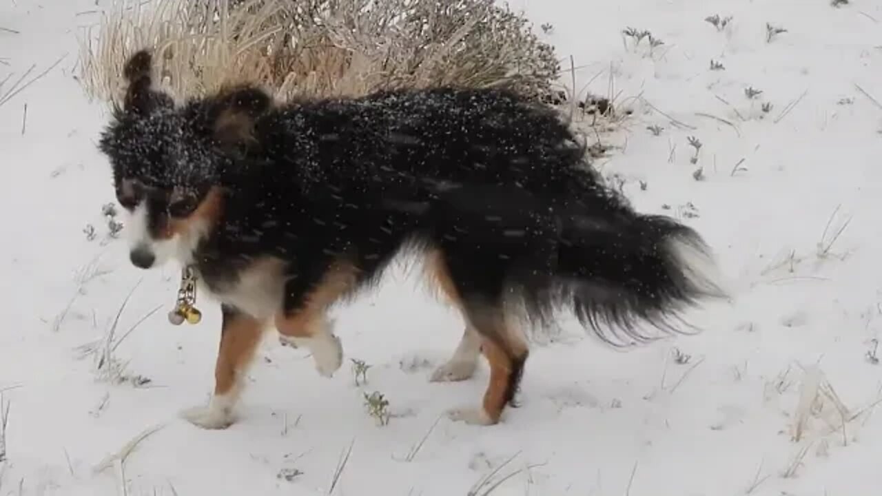 Record Fast Climate Change