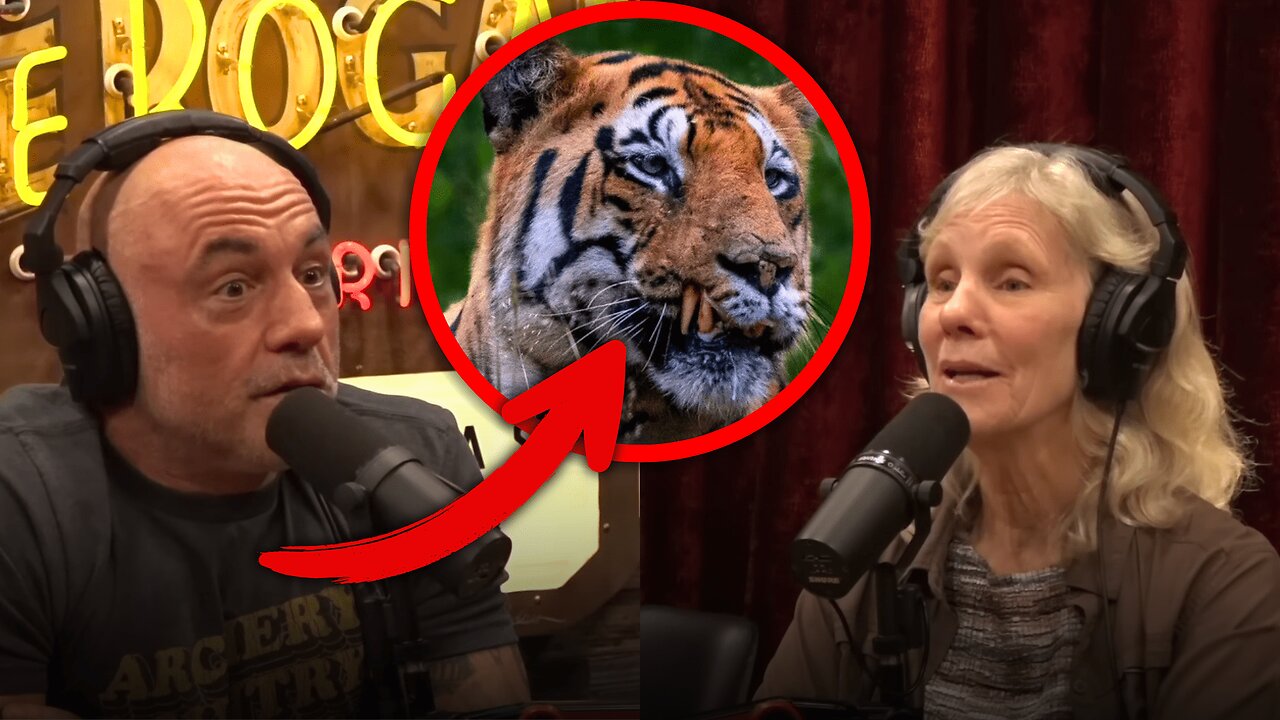 TERRIFYING Story Of A Tiger Taking Revenge On Humans | Joe Rogan & Diane K. Bond