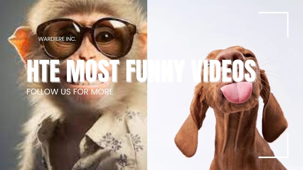 THE MOST FUNNY VIDEOS FOR LAUGHE