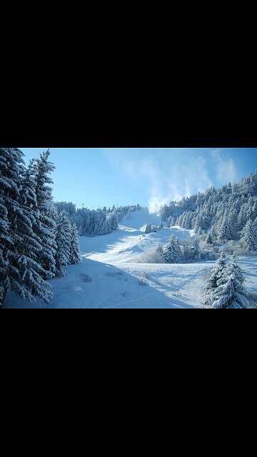 Serenity in Motion: A Cinematic Celebration of Nature
