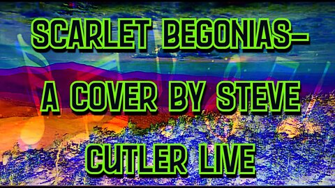 Scarlet begonias a cover by Steve Cutler Live