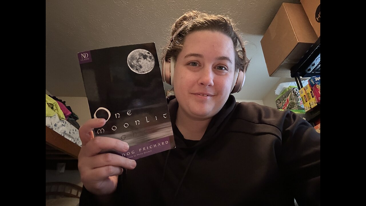 one moonlit night by caradog prichard: spoiler-free review