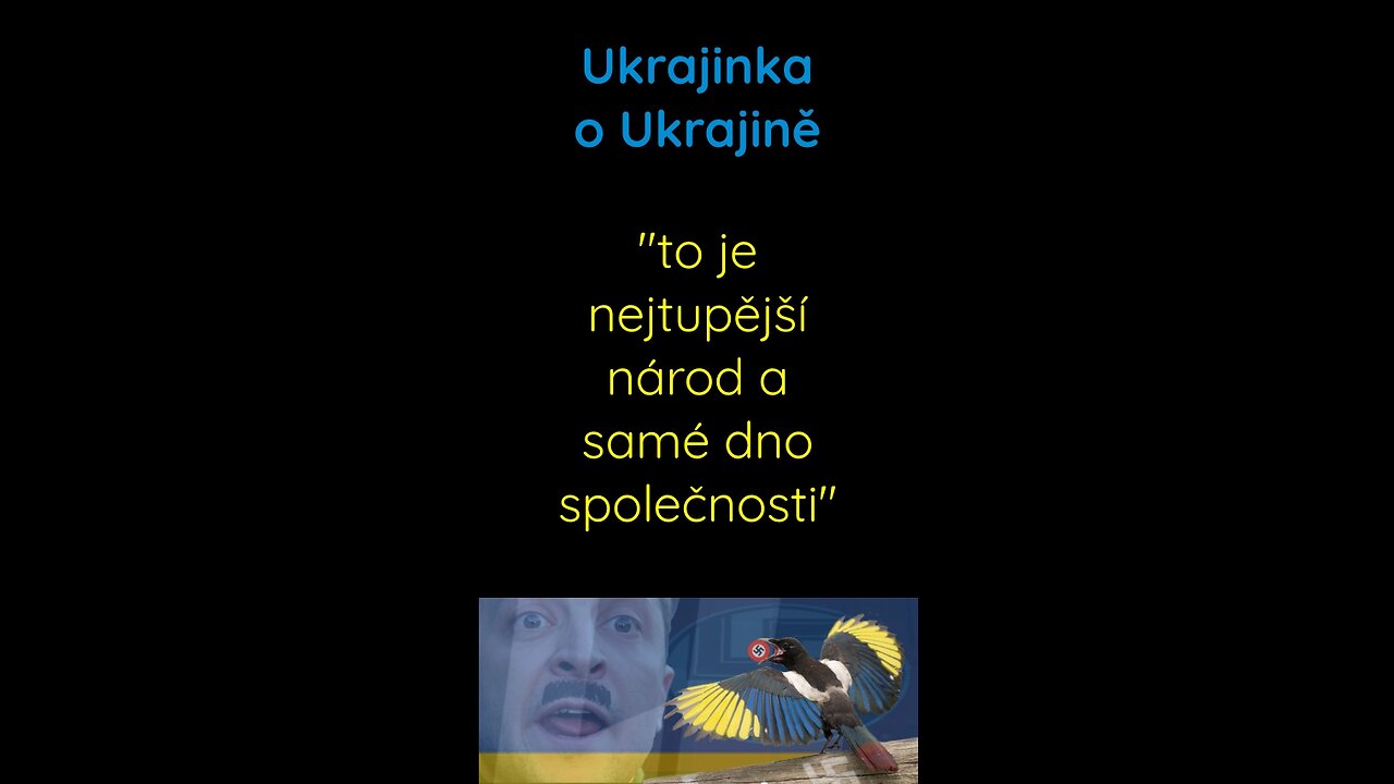 Ukrajinka o Ukrajině