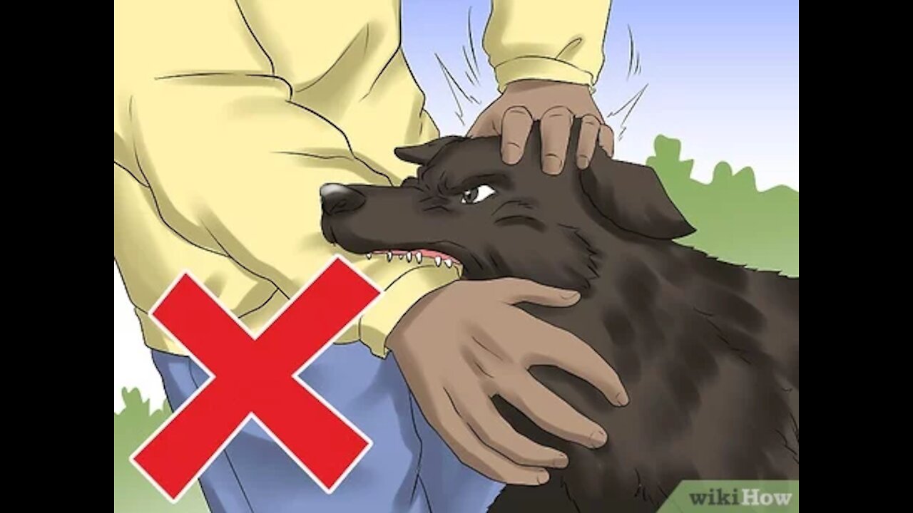 How to defend against a dog. Self defense against dog attack tricks