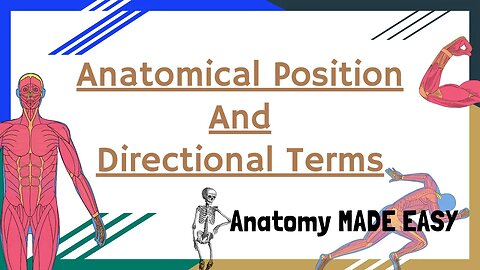 Anatomical Position And Directional Terms | Anatomy MADE EASY | Novice Medic