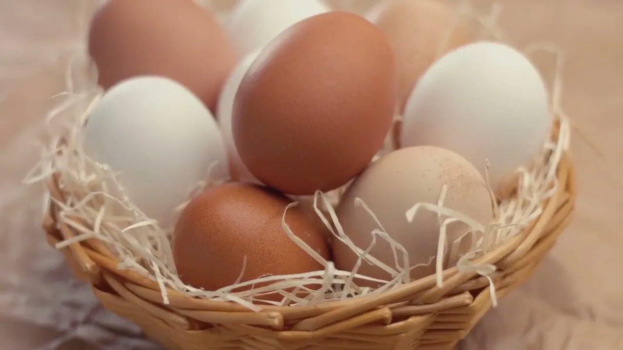 pan movement showing a basket with a n ecological eggs from the small farm