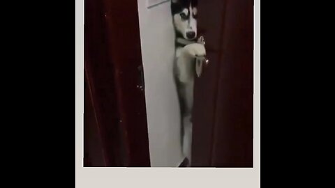 Hello is anyone here😂❤️