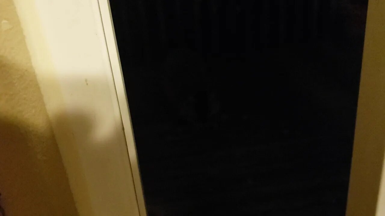 Peanut the Raccoon is back! Hes been gone for months.