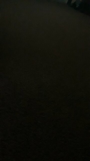 Rainforest cafe ambience be like