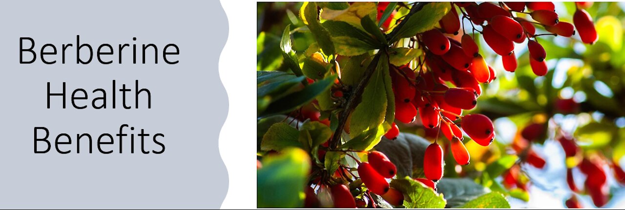 Berberine - Health Benefits