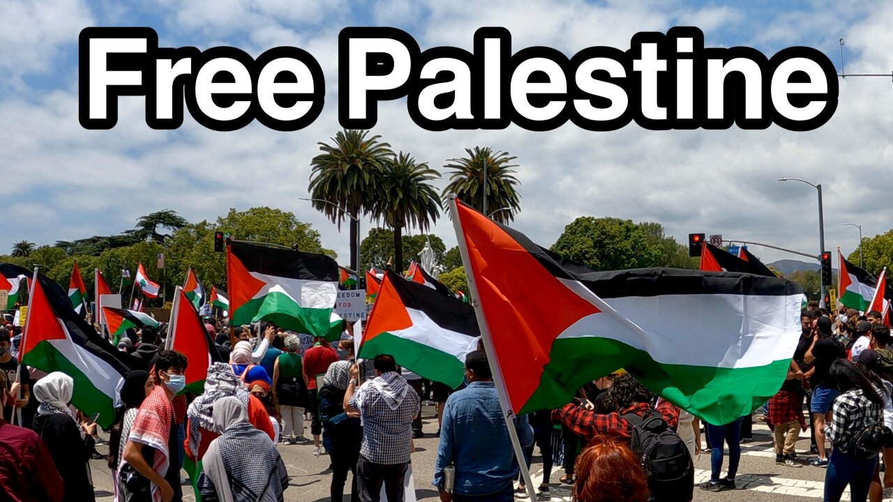 VLOG: PRO-PALESTINE PROTEST OUTSIDE THE ISRAELI CONSULATE IN LOS ANGELES, CA | FREE PALESTINE