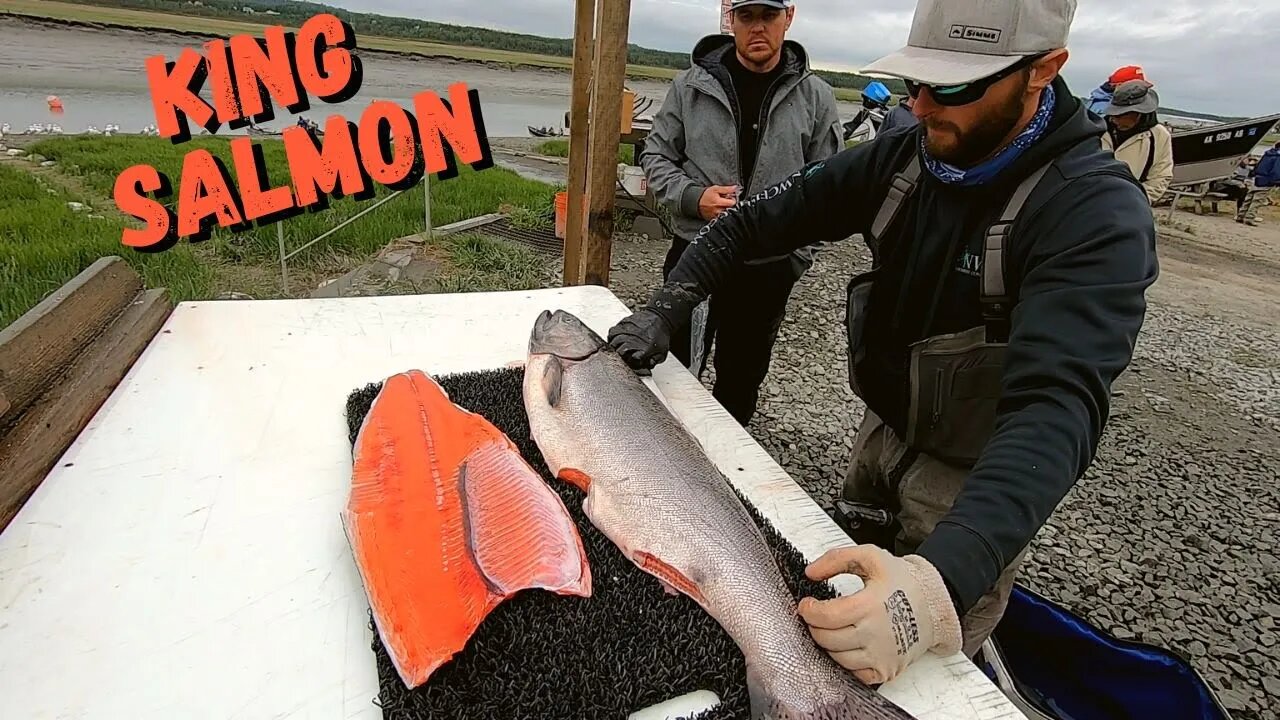 How to clean a BIG KING SALMON (Male & Female)