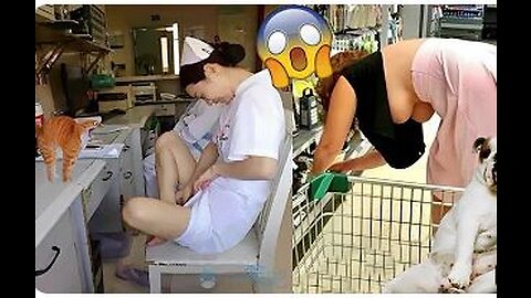 Best Funny Animal Videos 2022 - Funniest Cats And Dogs Video