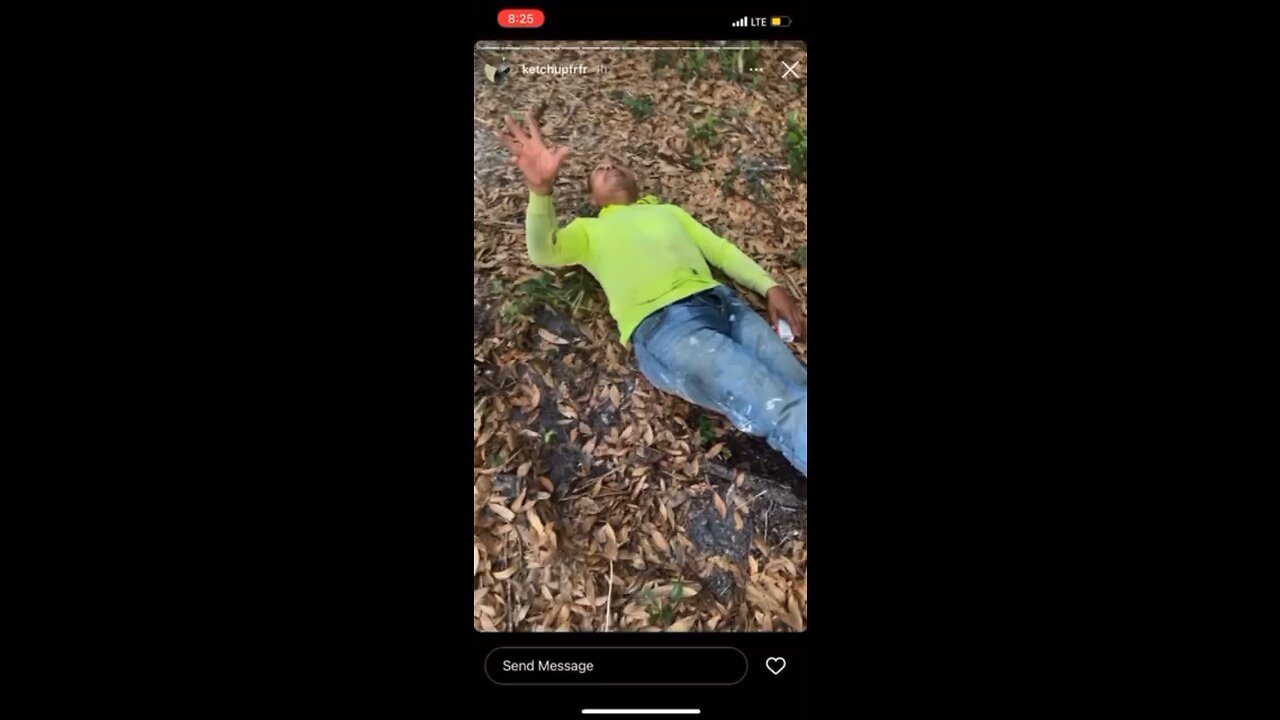 Just another day in Florida