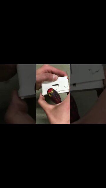 #shorts #2022 funny,prank,funjokes,dad jokes,funny memes,funny video,fun,laughing,funny animal,knock