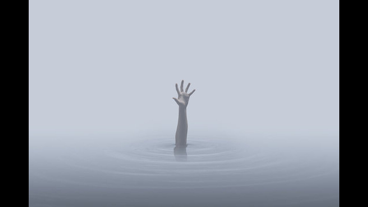 LIFELINE! - a 30 min. window to feed your soul