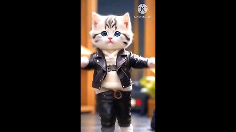 cut dance cat