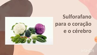 [pt. 1] Sulforafano melhora o coração e o cérebro